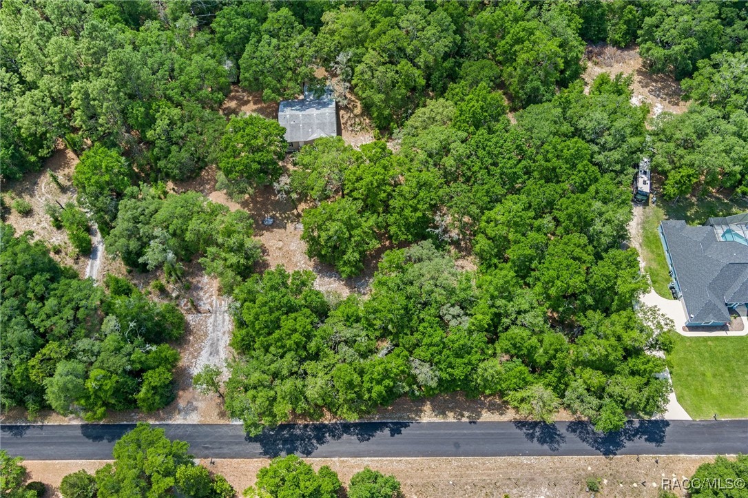 10484 N Burgundy Point, Dunnellon, New York image 39