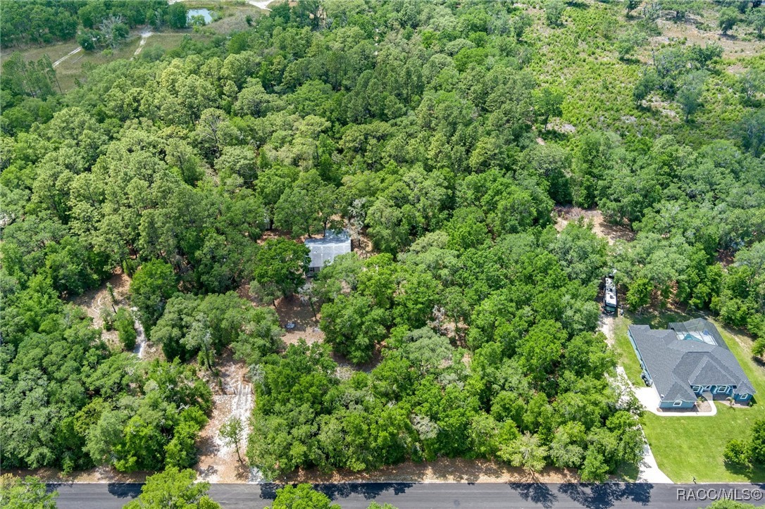 10484 N Burgundy Point, Dunnellon, New York image 40