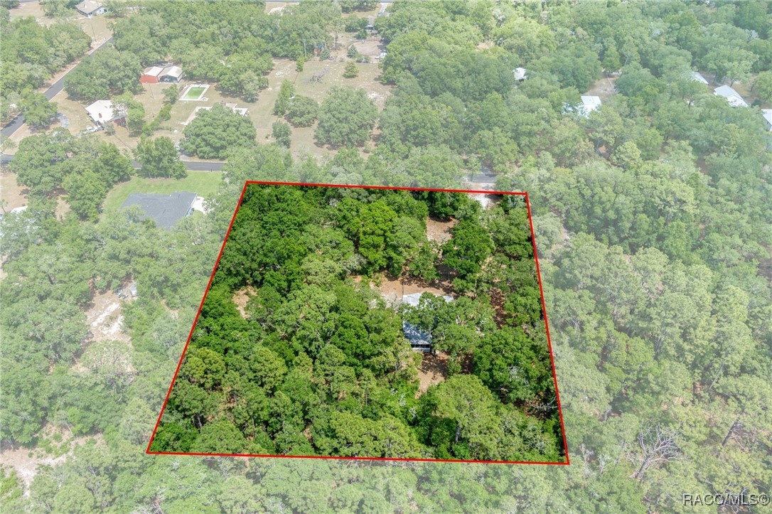 10484 N Burgundy Point, Dunnellon, New York image 45