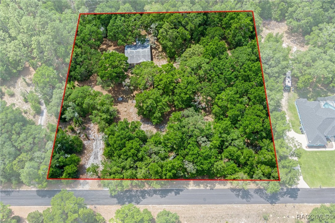 10484 N Burgundy Point, Dunnellon, New York image 2