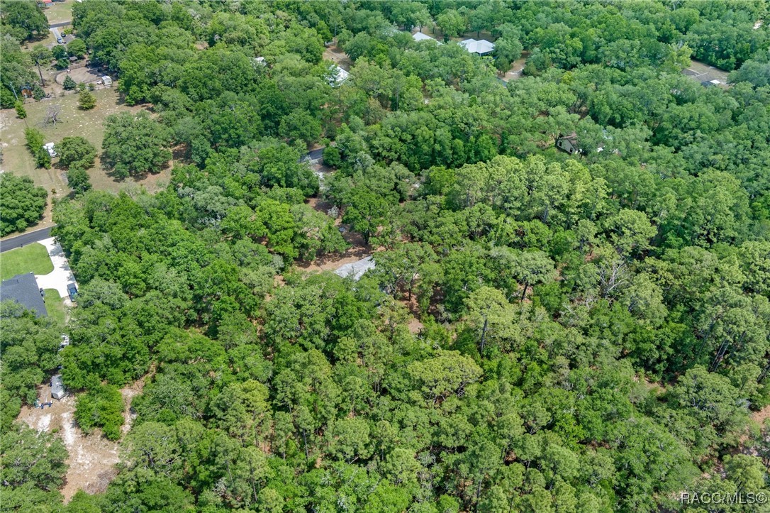 10484 N Burgundy Point, Dunnellon, New York image 47