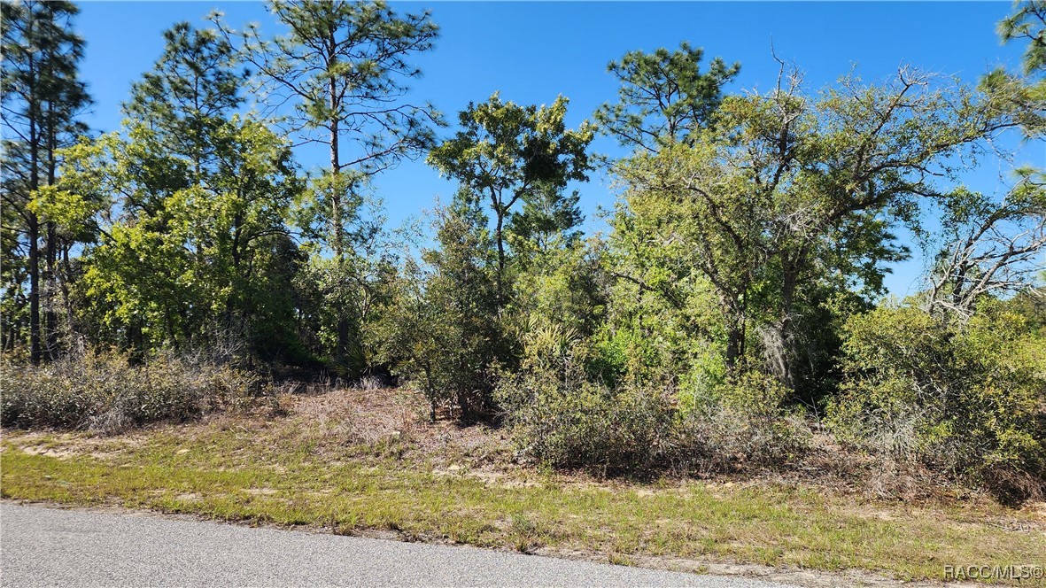 6204 N Hobson Terrace, Dunnellon, New York image 4