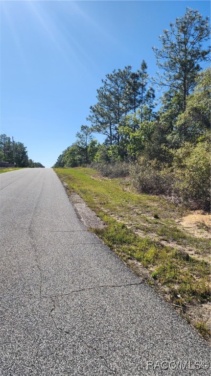 6204 N Hobson Terrace, Dunnellon, New York image 3