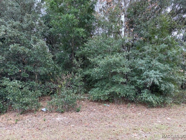 7989 N Galena Avenue, Citrus Springs, New York image 3