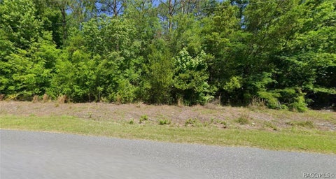 Vacant Land For Sale - 20504 SW Beach Boulevard<br/> Dunnellon, FL 34431