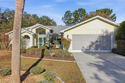3 Ipomoea Court Homosassa FL 34446