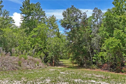 Vacant Land For Sale - 1020 N Mcgowan Avenue<br/> Crystal River, FL 34429
