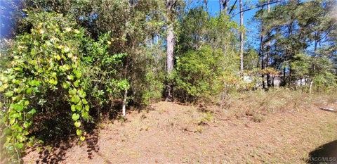 Vacant Land For Sale - 1837 W Water Lily Drive<br/> Citrus Springs, FL 34434