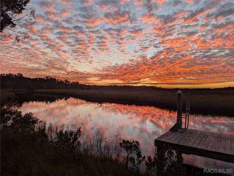 5872 S Shadytree Path Homosassa FL 34448