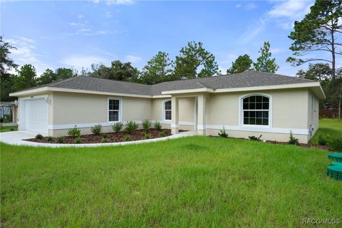 A home in Citrus Springs