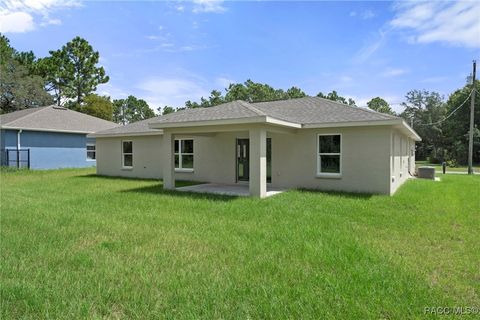 A home in Citrus Springs