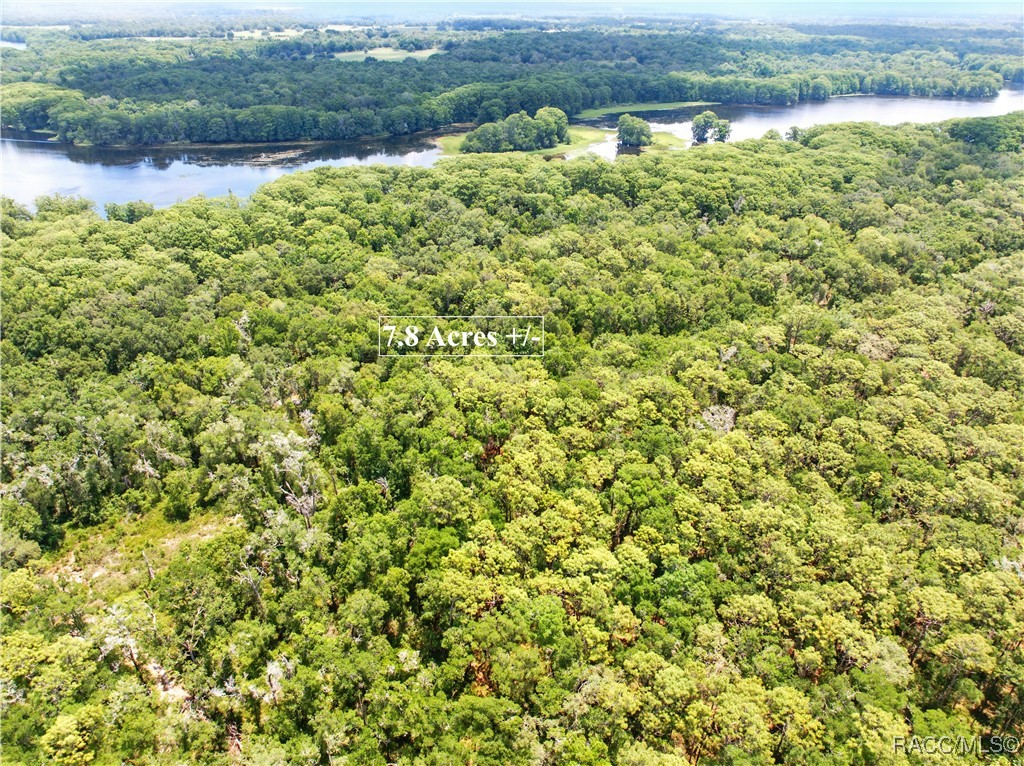 Lingle Road, Brooksville, New York image 8