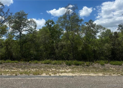 Vacant Land For Sale - 8036 N Wayside Avenue<br/> Dunnellon, FL 34433