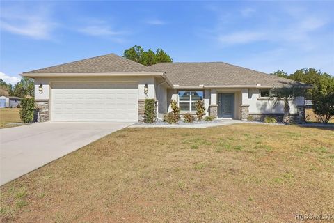 183 E Boston Street Hernando FL 34442