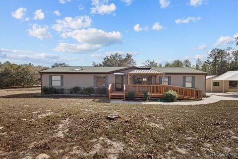 Homes For Sale - 6401 N Oakfield Point<br/> Dunnellon, FL 34433