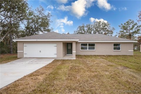 A home in Citrus Springs