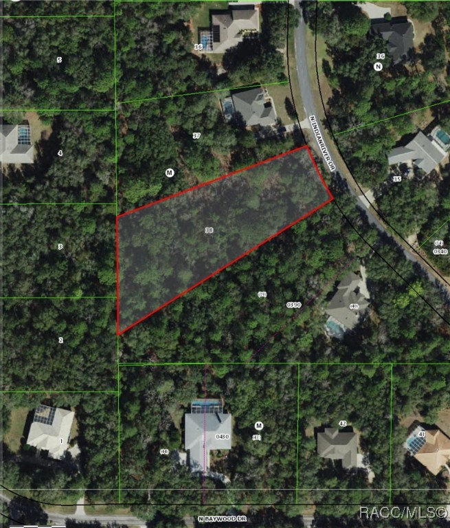 4150 N Indianriver Drive, Hernando, Florida image 2