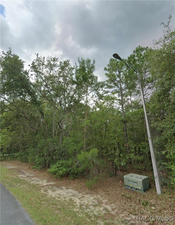 4150 N Indianriver Drive, Hernando, Florida image 3