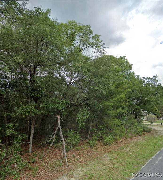 4150 N Indianriver Drive, Hernando, Florida image 4