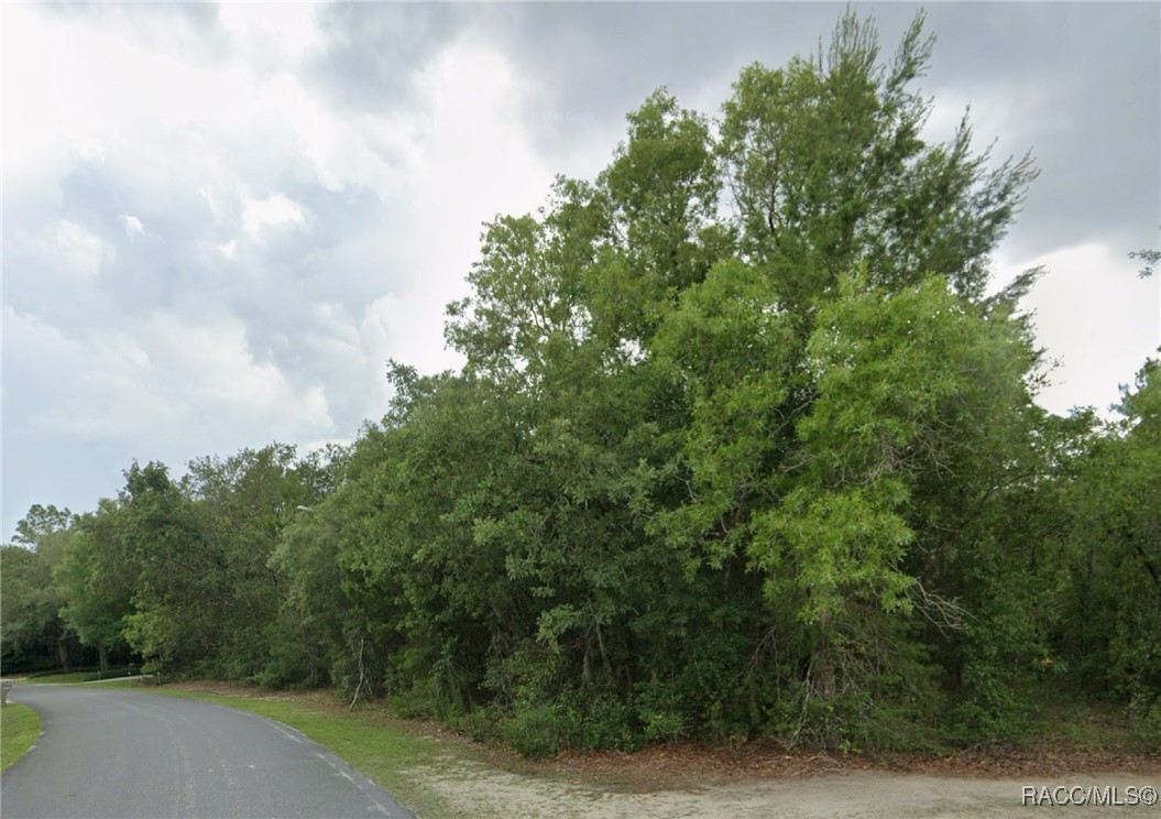 4150 N Indianriver Drive, Hernando, Florida image 1