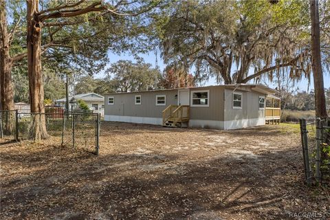 Homes For Sale - 5951 N Tsala Apopka Drive<br/> Hernando, FL 34442