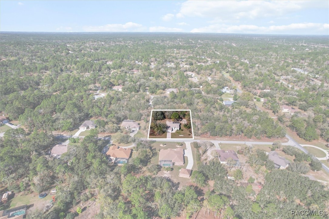 6050 N Mahogany Terrace, Beverly Hills, Florida image 9