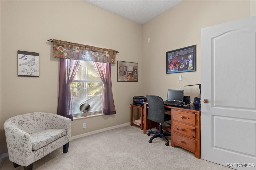 6050 N Mahogany Terrace, Beverly Hills, Florida image 30