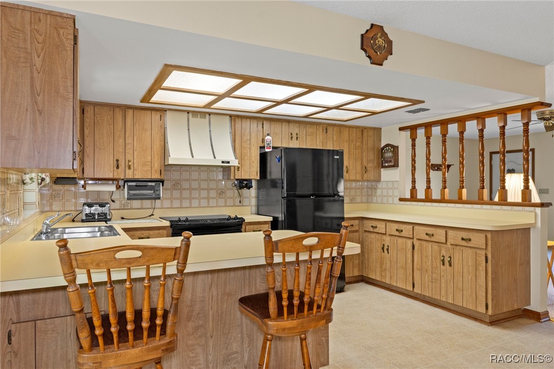 21181 Palatka Drive, Dunnellon, New York image 18
