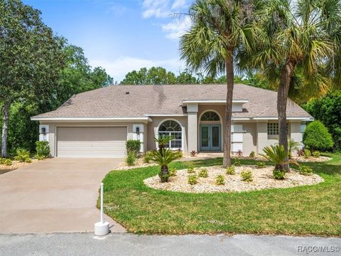 11 Nicotiana Court, Homosassa, FL 34446 - MLS#: 844029