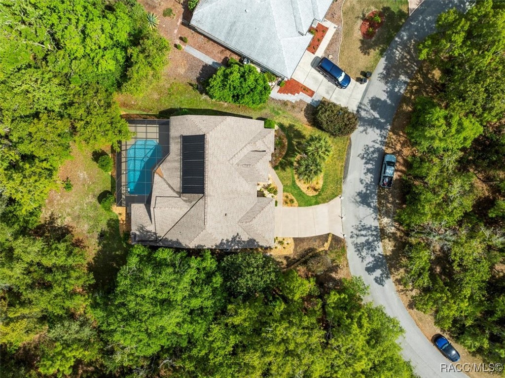 11 Nicotiana Court, Homosassa, New York image 46