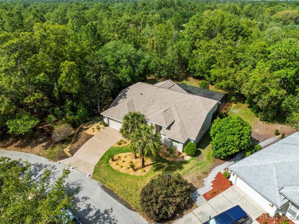 11 Nicotiana Court, Homosassa, New York image 49