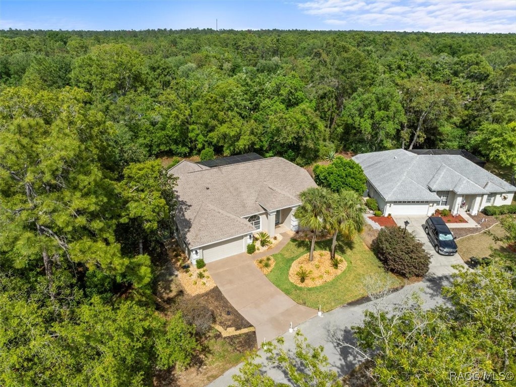 11 Nicotiana Court, Homosassa, New York image 47