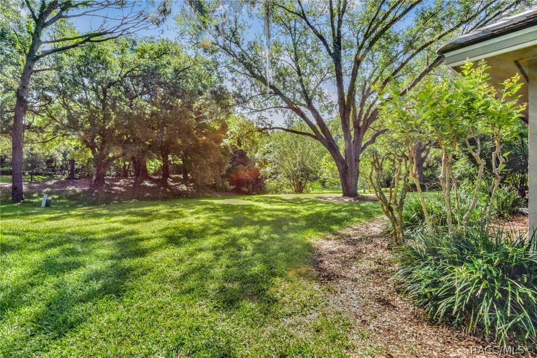 3035 W Bermuda Dunes Drive, Lecanto, Florida image 34