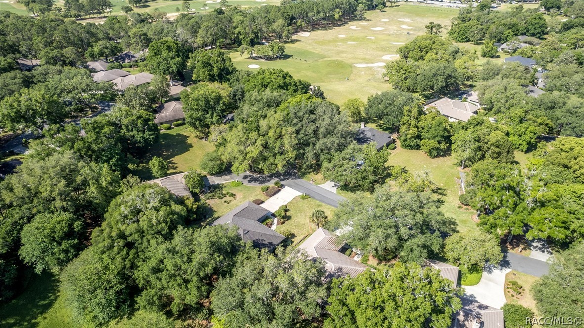 3035 W Bermuda Dunes Drive, Lecanto, Florida image 37