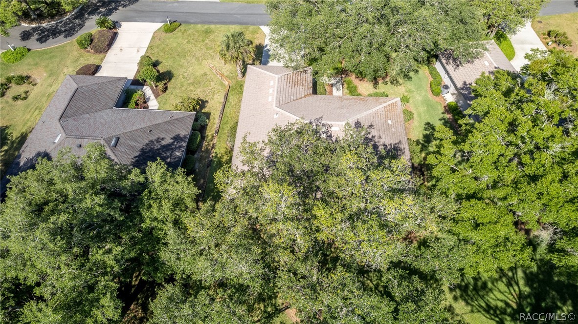 3035 W Bermuda Dunes Drive, Lecanto, Florida image 39