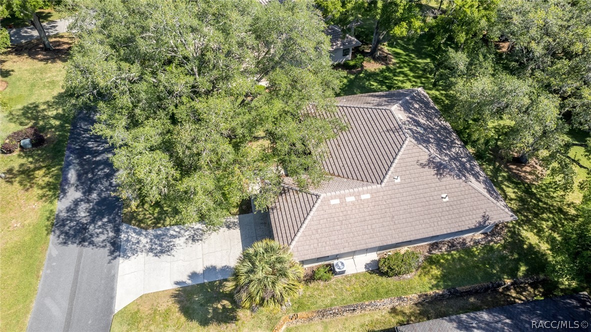 3035 W Bermuda Dunes Drive, Lecanto, Florida image 38