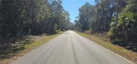 Vacant Land For Sale - 939 N Sonia Avenue<br/> Inverness, FL 34453