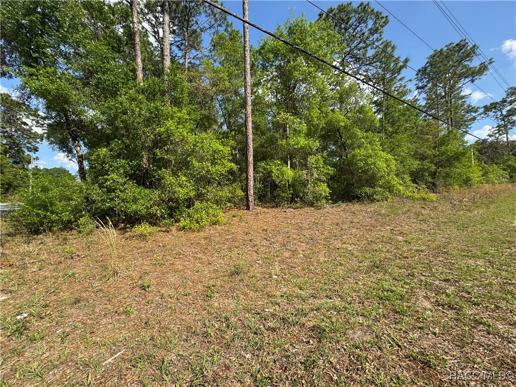 6576 E Gurley Street, Inverness, Florida image 5
