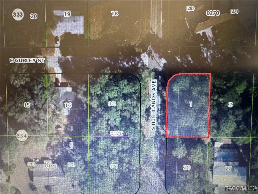 6576 E Gurley Street, Inverness, Florida image 9