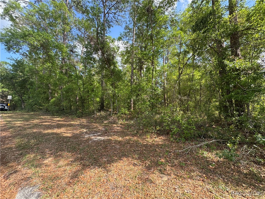 6576 E Gurley Street, Inverness, Florida image 7