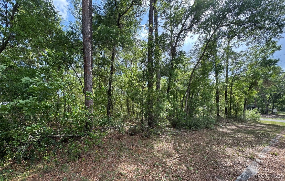 6576 E Gurley Street, Inverness, Florida image 2