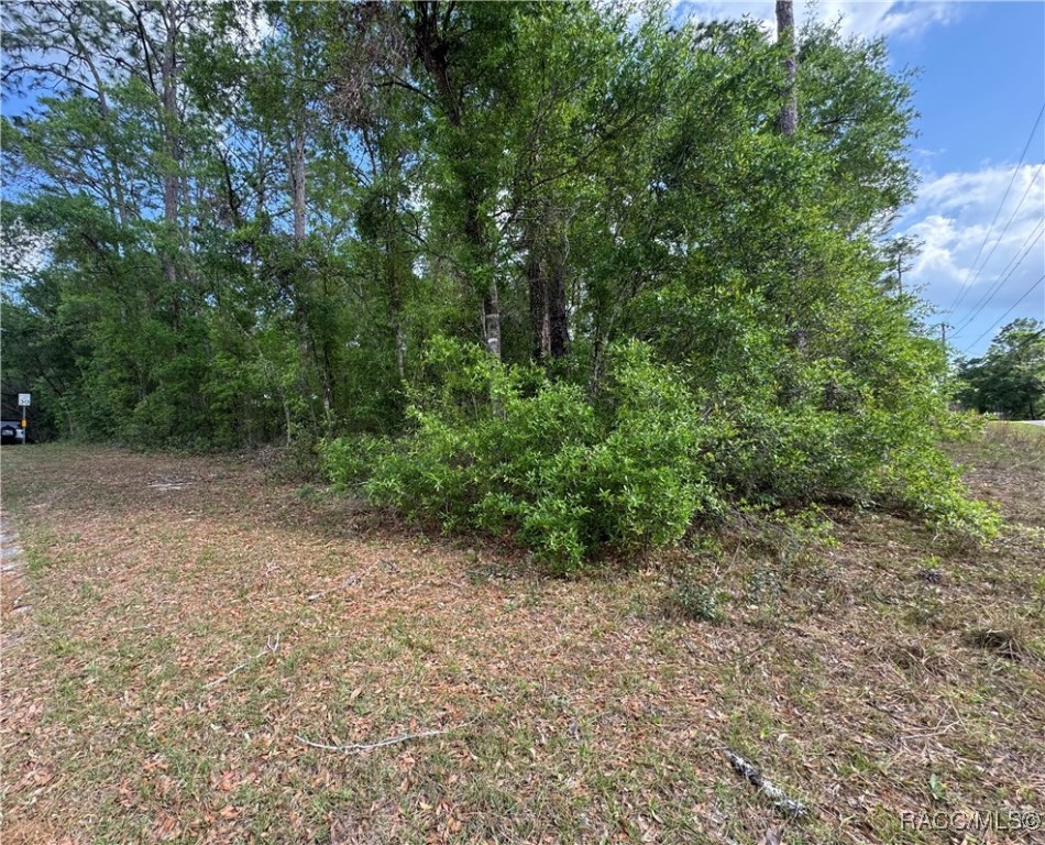 6576 E Gurley Street, Inverness, Florida image 3