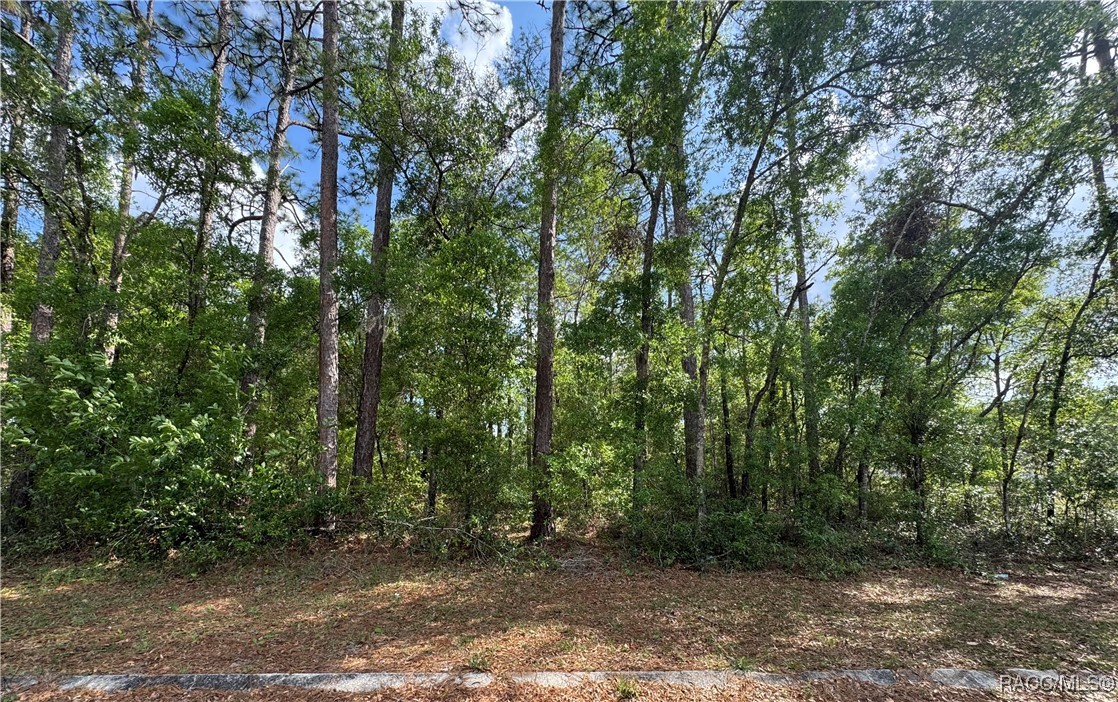 6576 E Gurley Street, Inverness, Florida image 1