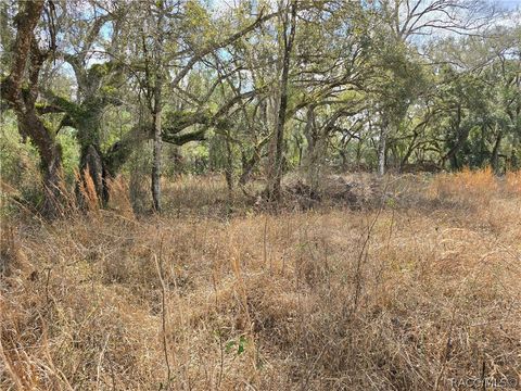 Vacant Land For Sale - 6436 Yam Street<br/> Webster, FL 33597