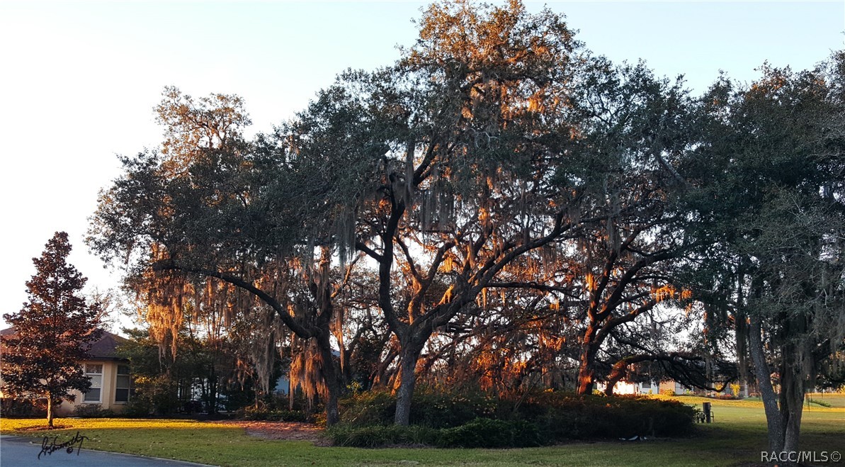 2293 N Heritage Oaks Path, Hernando, Florida image 9