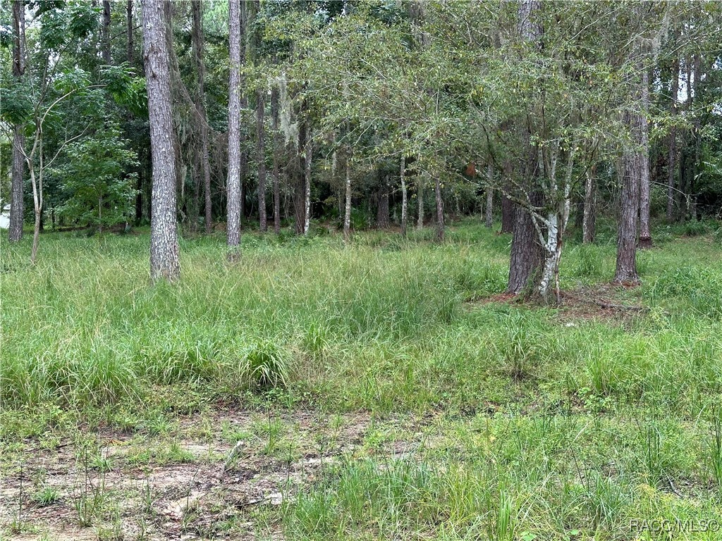 3898 Southern Valley Loop, Brooksville, Florida image 10