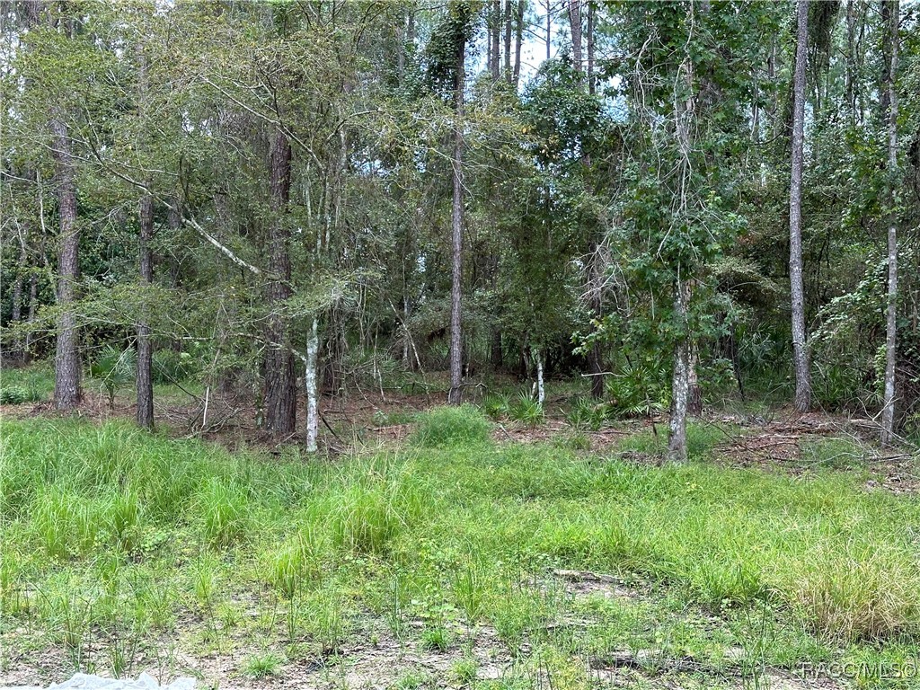 3898 Southern Valley Loop, Brooksville, Florida image 12