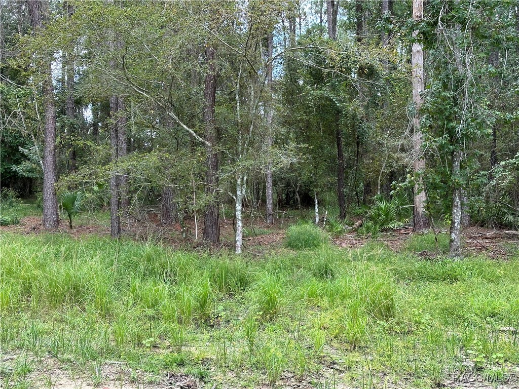 3898 Southern Valley Loop, Brooksville, Florida image 11