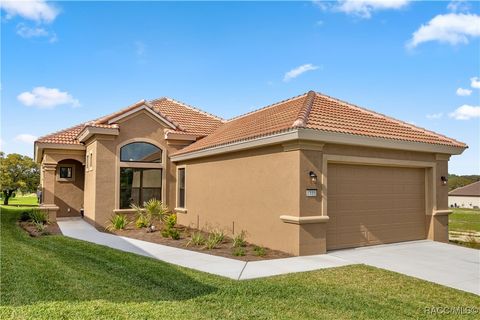 A home in Hernando