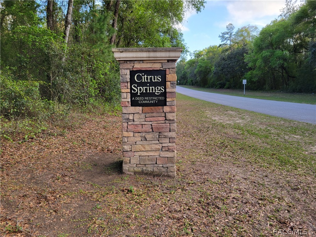 9223 N Bertin Drive, Citrus Springs, Florida image 19